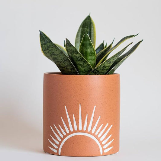Combo - 3 Small Terracotta Planters @549 (1 FREE + ₹150 OFF)